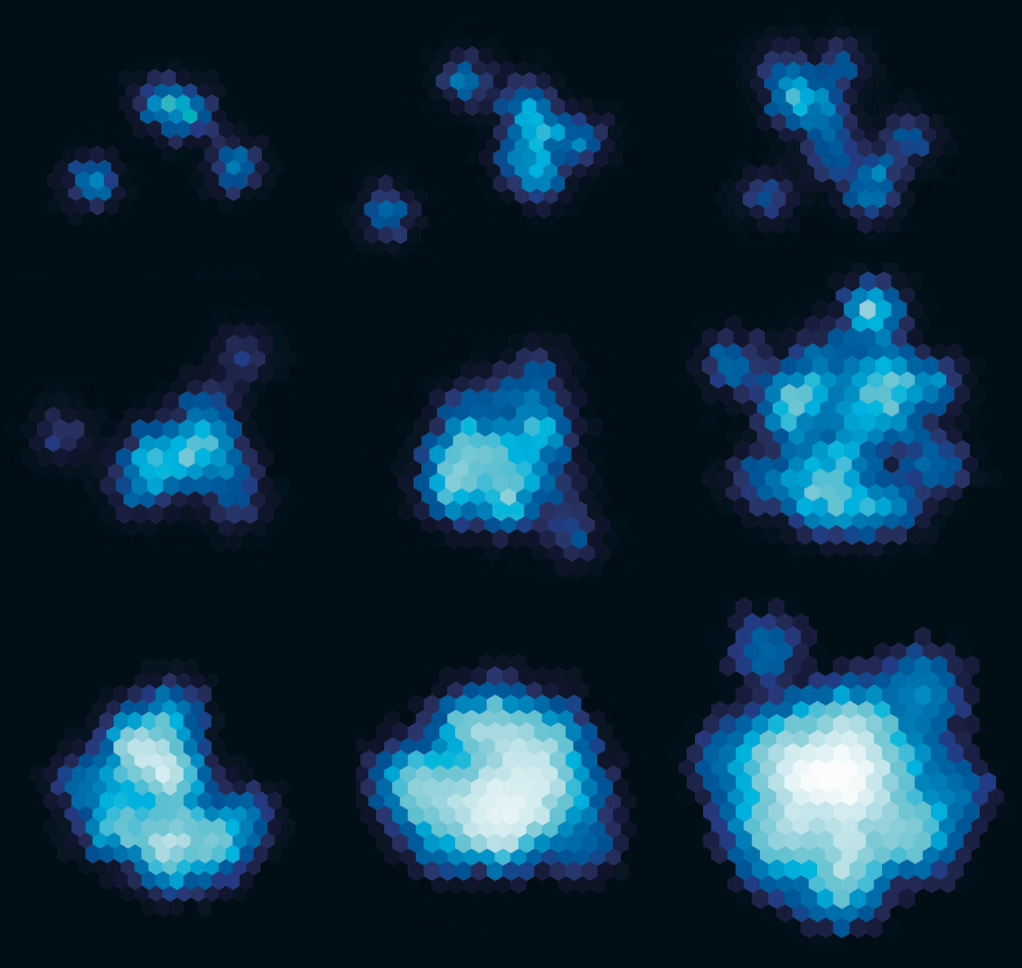 Shows simulations of the density of gluons in the proton